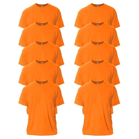 10 Gildan Adult Ultra Cotton T-Shirts