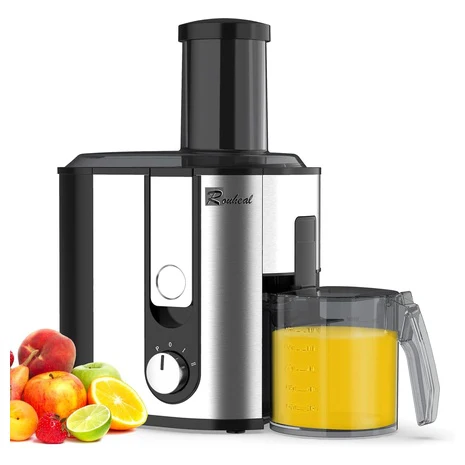 800W Juicer Machine