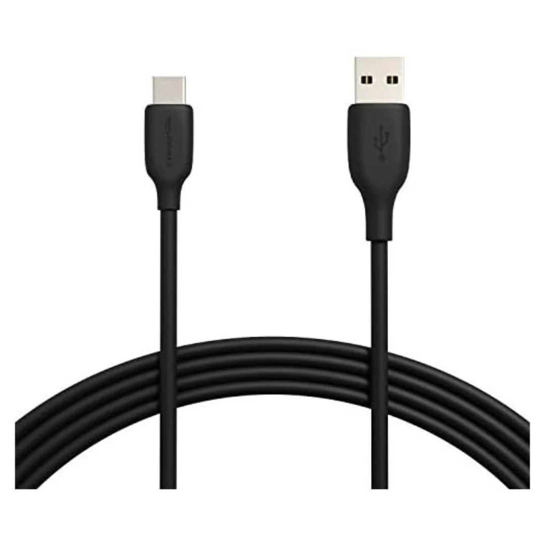 Amazon Basics 10 Feet USB-C To USB-A 2.0 Fast Charger Cable