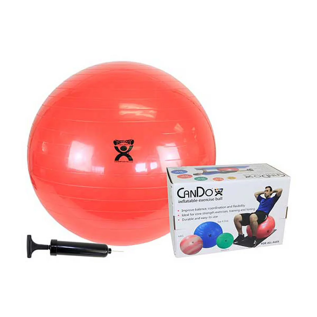 CanDo 75 cm Professional Exercise Ball Set