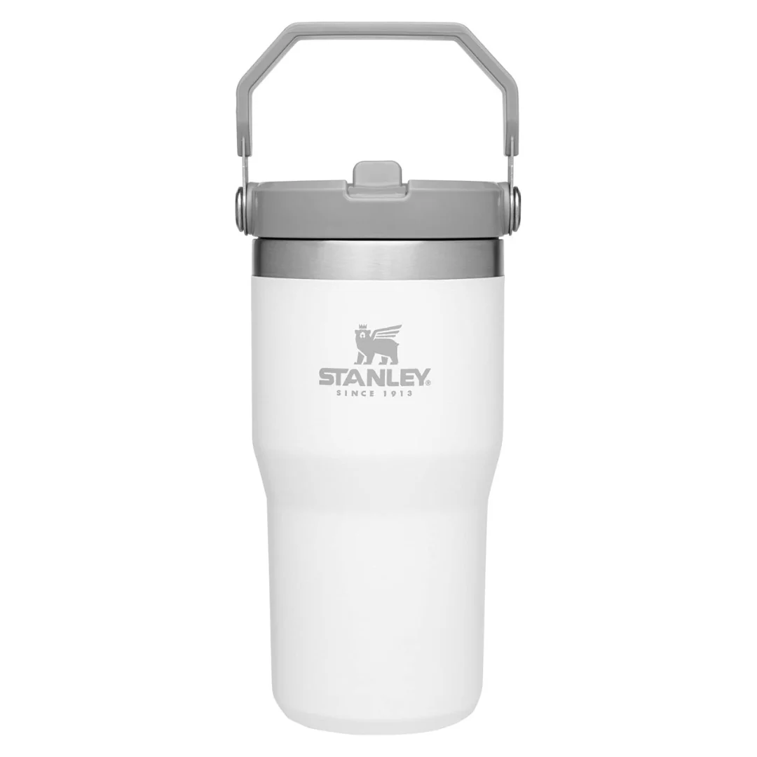Stanley 20 Oz Vacuum Insulated Tumbler With Straw